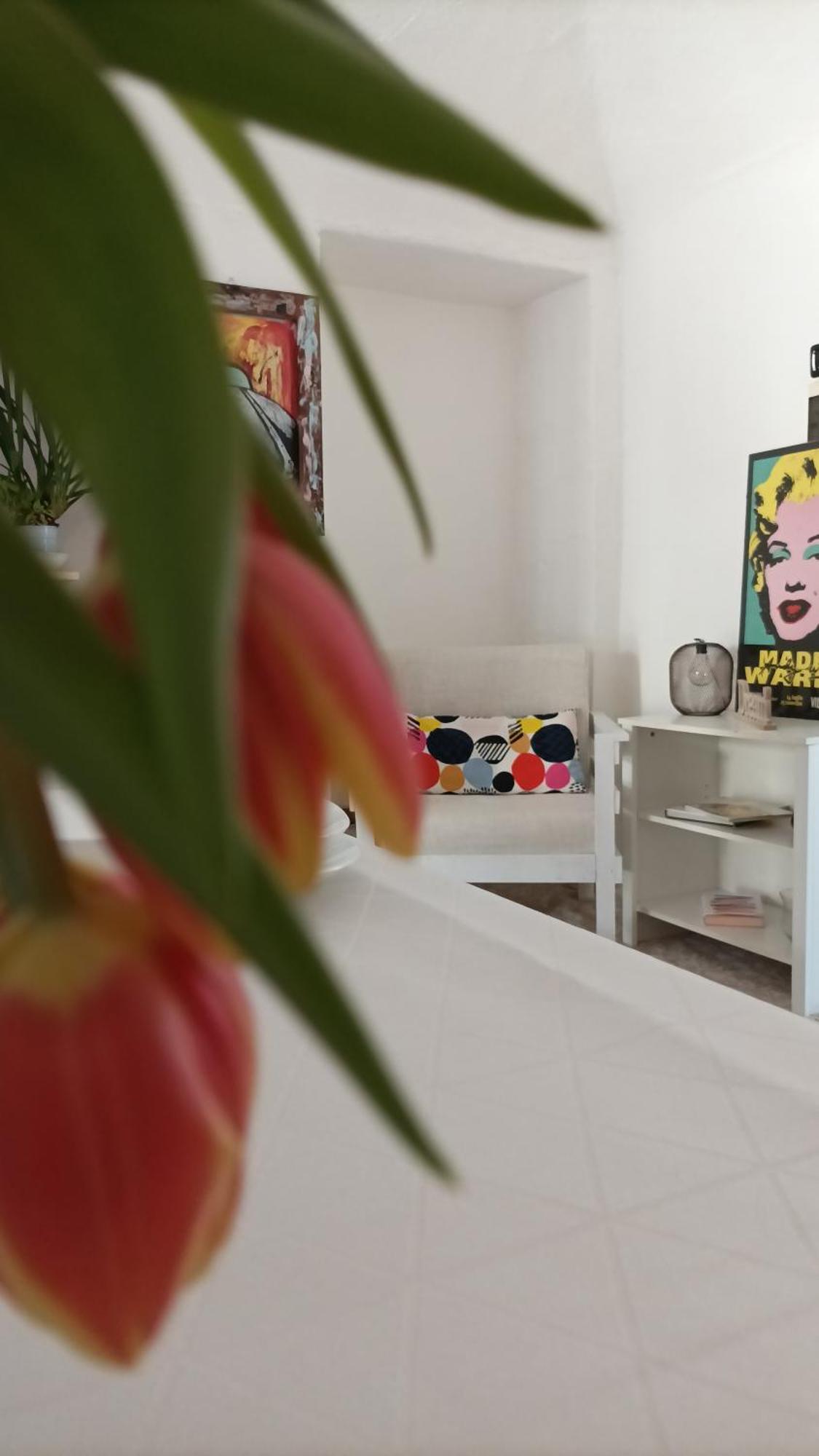 Quick Home - Interno 45 Biella Oda fotoğraf
